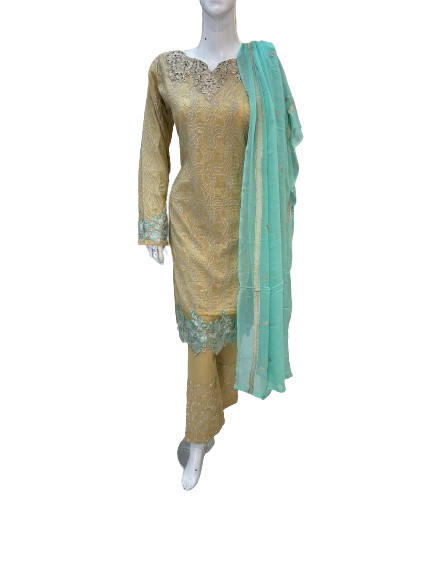 Beige and Aqua Blue Casual Wear with Chiffon Dupatta - ELRR010