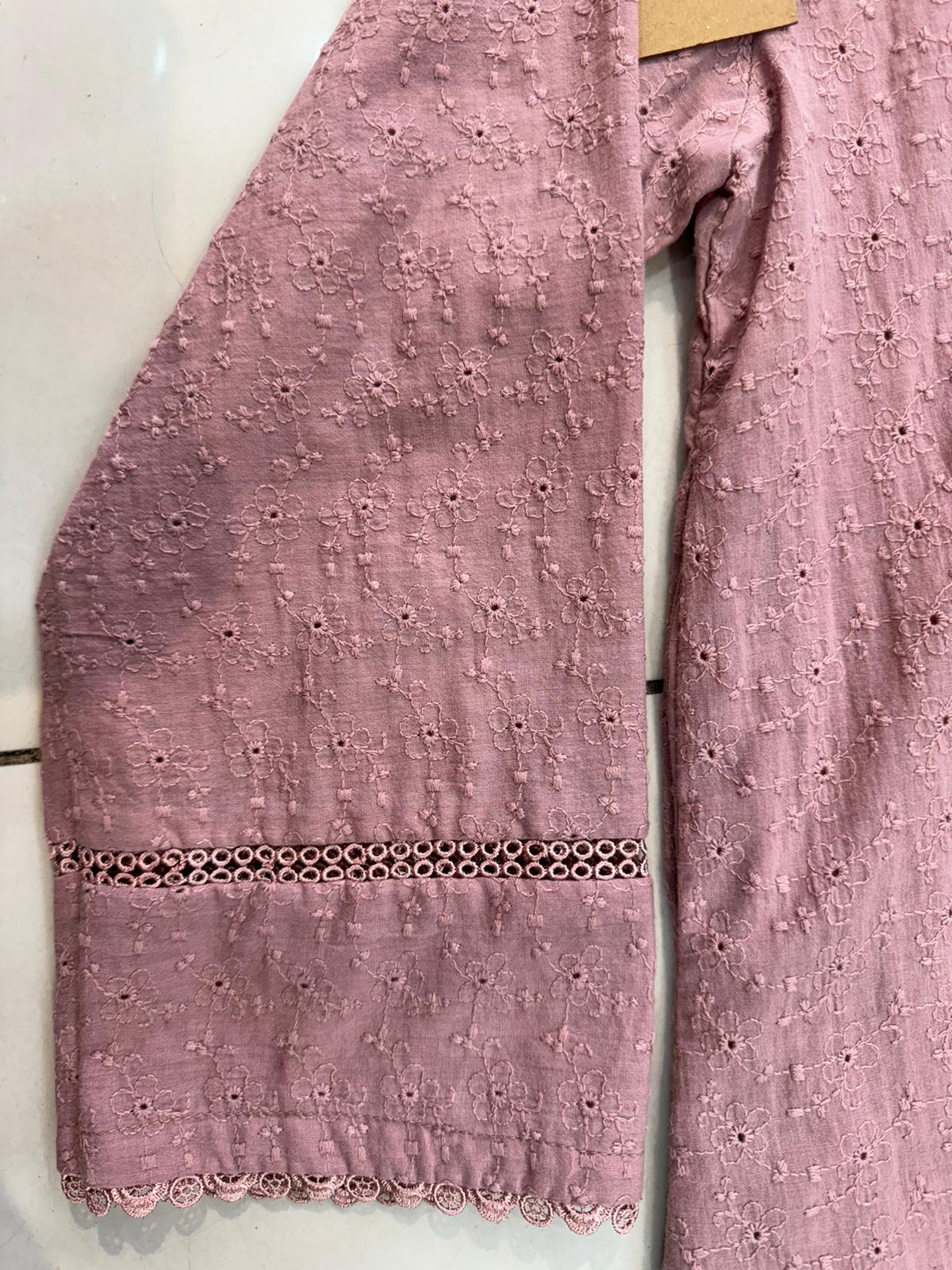 Pink 1 Pc Chikankari Kurta